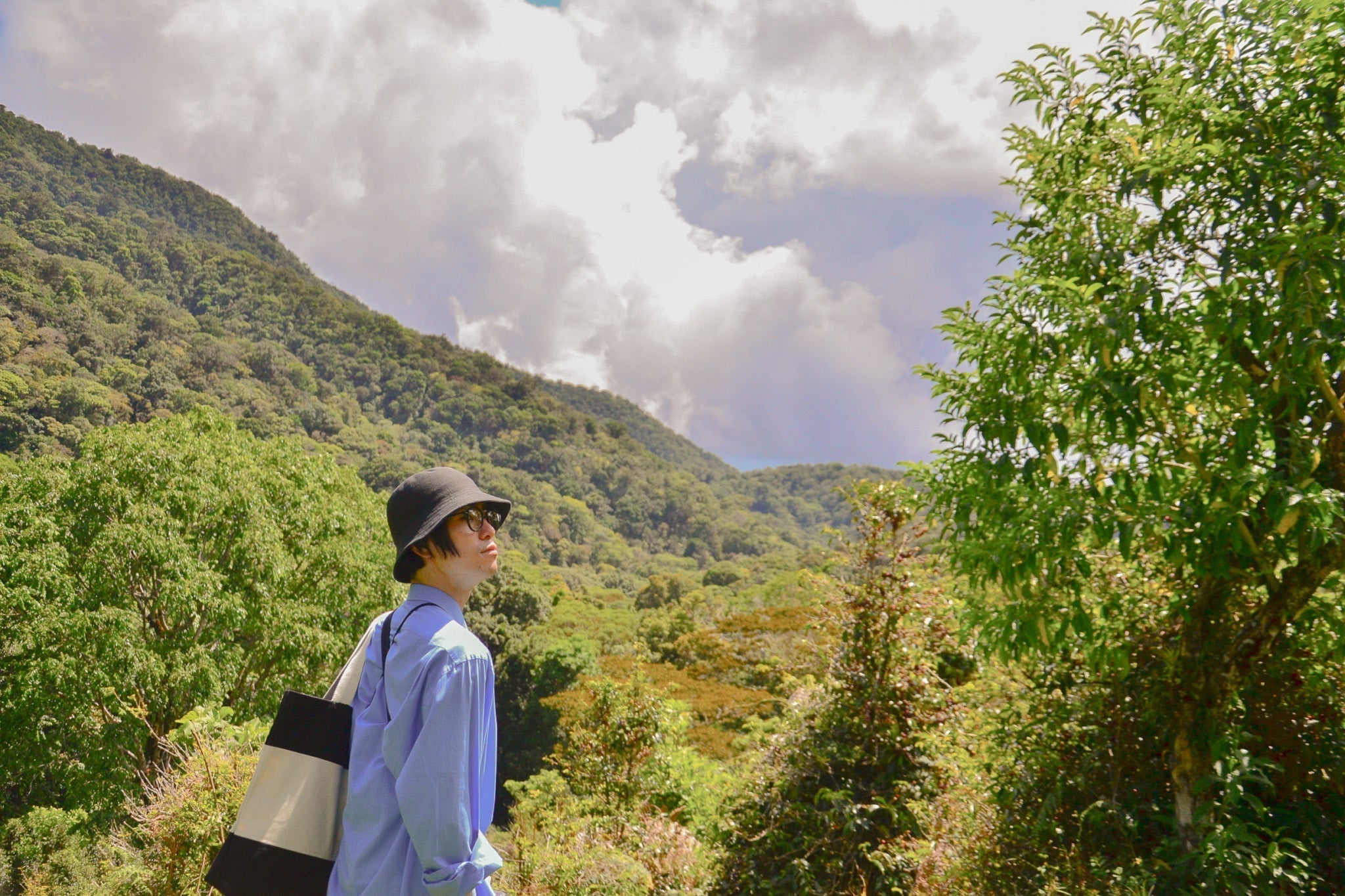 Premium Coffee : The best experience with the highest quality coffee. <Part2>