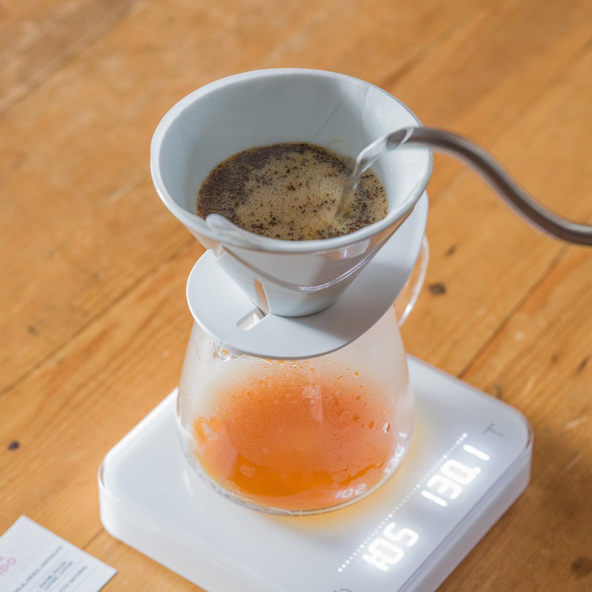 HARIO V60 MUGEN(陶器)- GUATEMALA EL COLORIDO