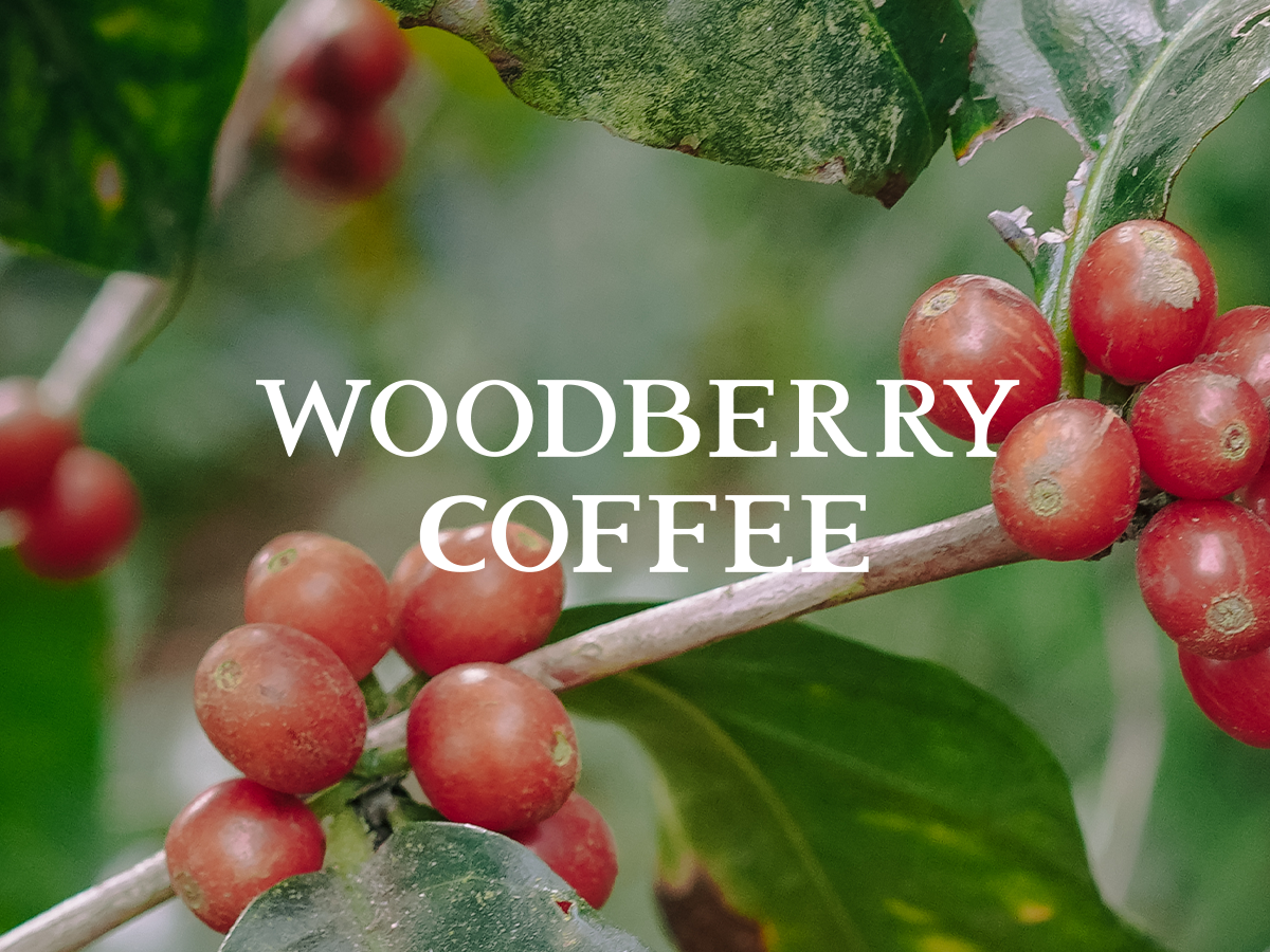 WOODBERRY BAKERY
