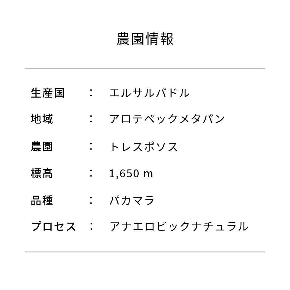 エルサルバドル トレス・ポソス農園 パカマラ アナエロビックナチュラル