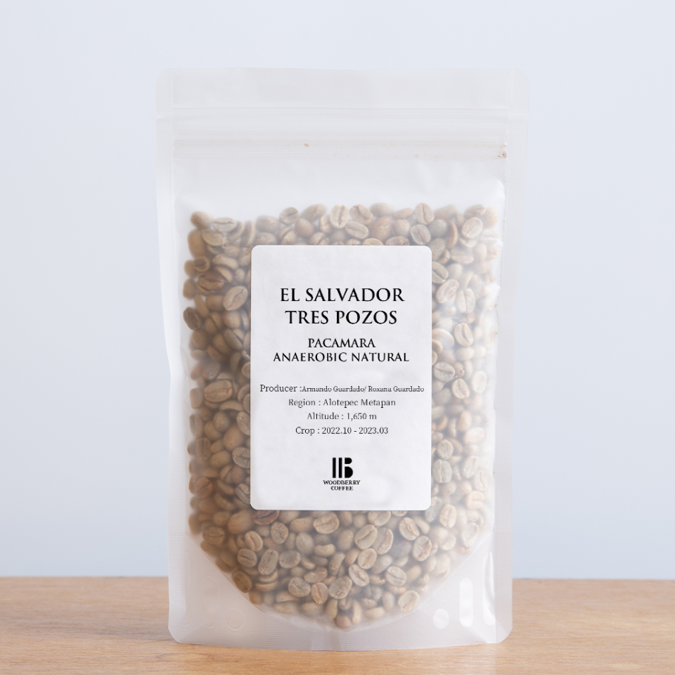 【コーヒー生豆】ホンジュラス　エル・プラン　パライネマ　ナチュラル　３.７ｋｇ コーヒー生豆】ホンジュラス エル・プラン パライネマ ナチュラル 3