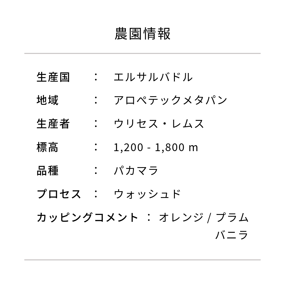 エルサルバドル ロマ・パチャ農園 パカマラ ウォッシュド - 生豆