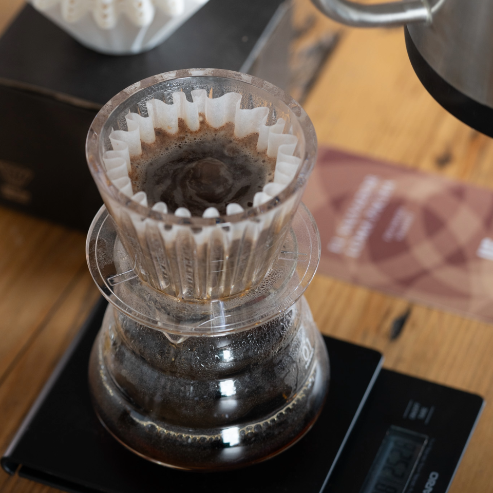 エルサルバドル ロマ・パチャ農園 パカマラ ウォッシュド - 生豆