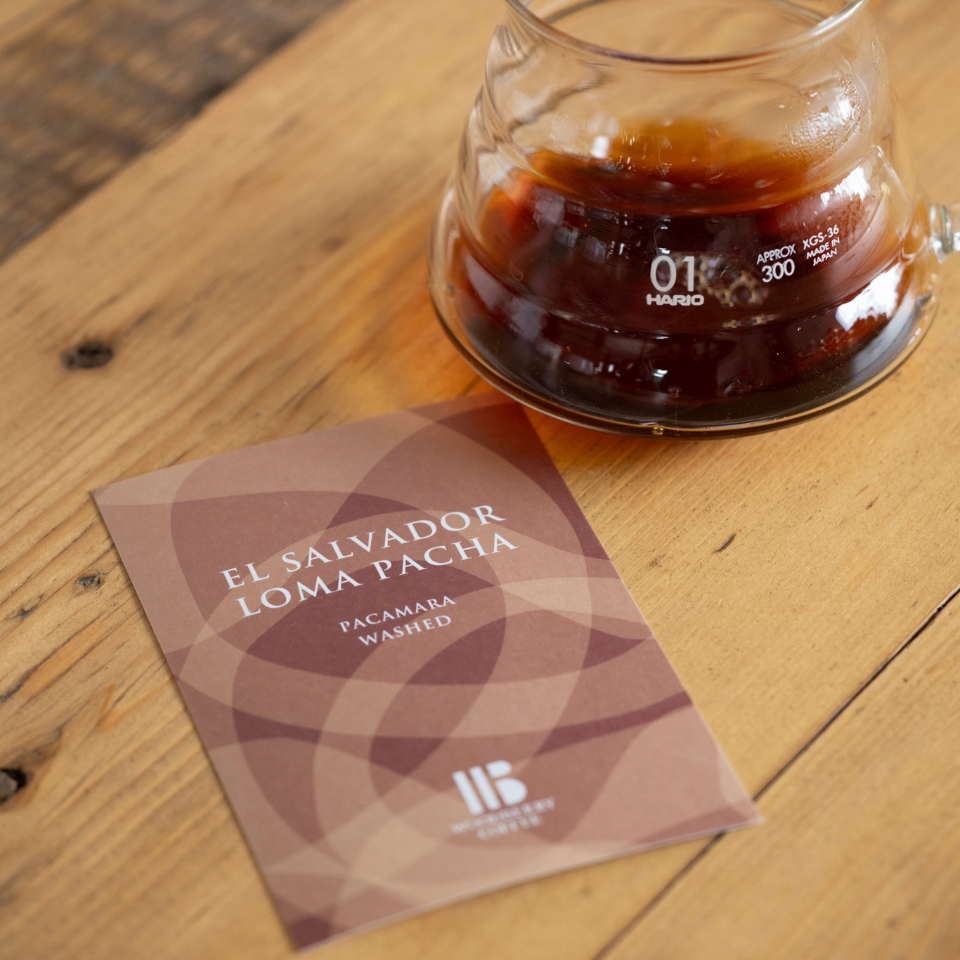 エルサルバドル ロマ・パチャ農園 パカマラ ウォッシュド - 生豆