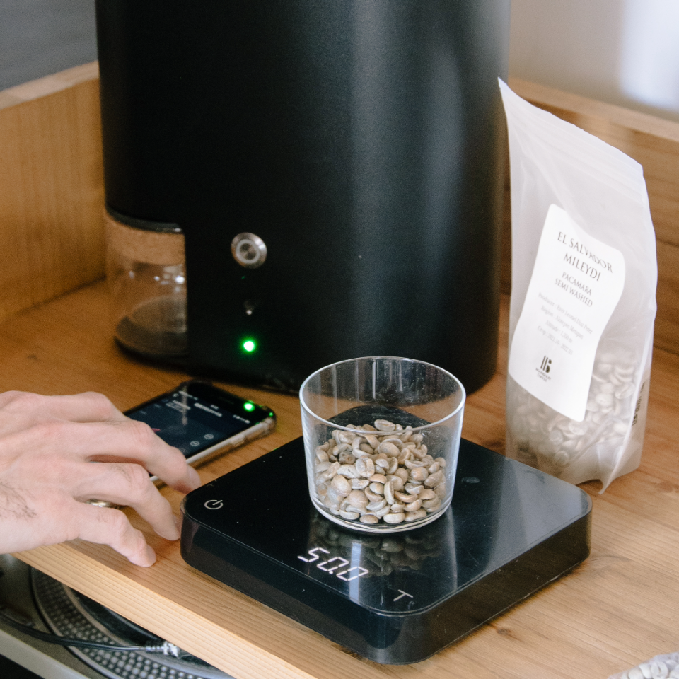 エルサルバドル ロマ・パチャ農園 パカマラ ウォッシュド - 生豆