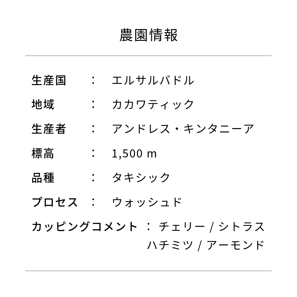 エルサルバドル ブエナ・エスペランサ農園 テキシック フリーウォッシュド - 生豆