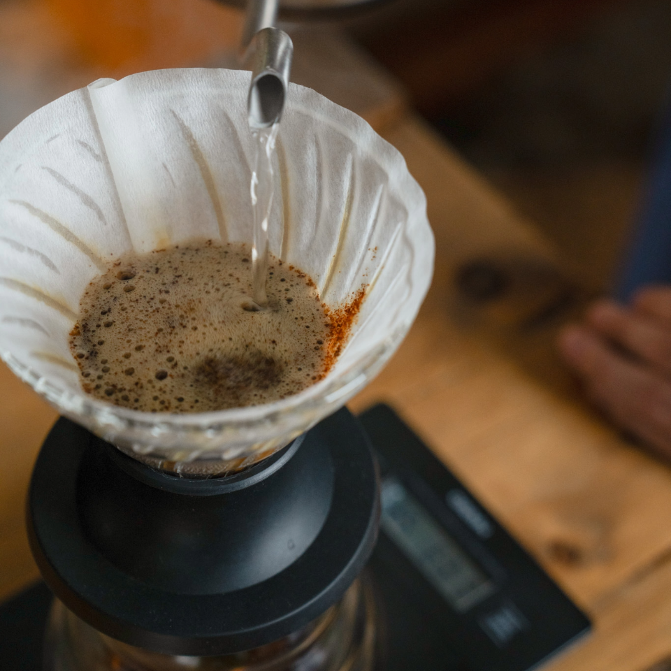 HARIO ハリオ 浸漬式ドリッパー スイッチ