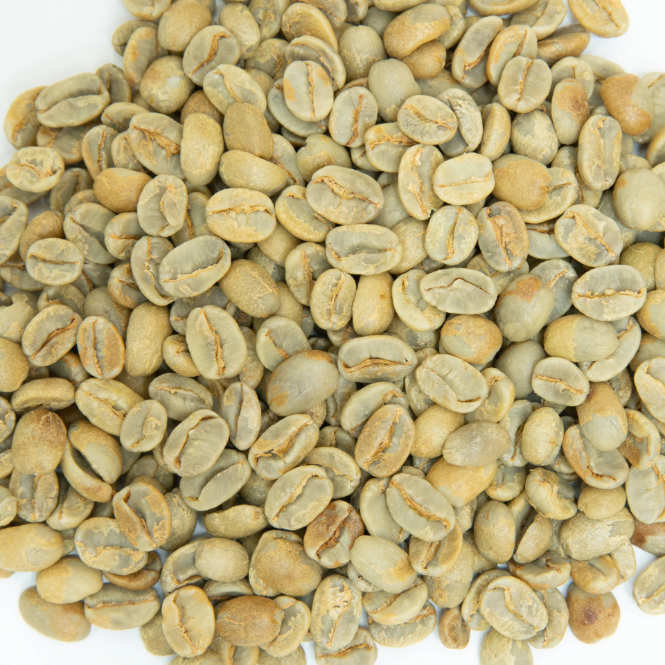 エルサルバドル トレス・ポソス農園 パカマラ アナエロビックナチュラル - 生豆