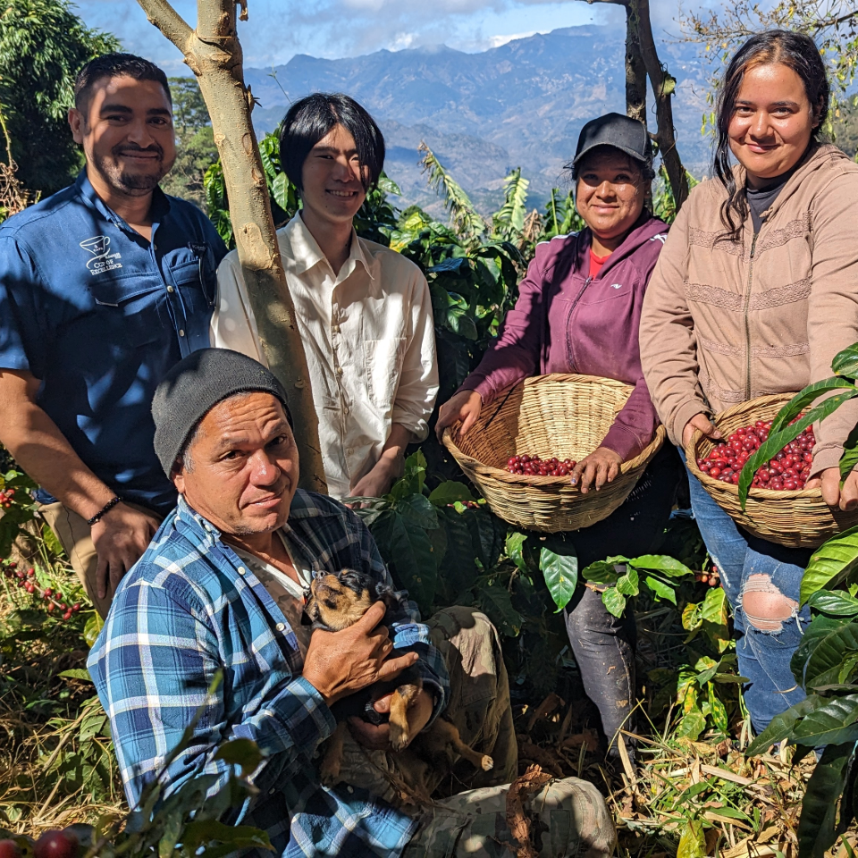 エルサルバドル トレス・ポソス農園 パカマラ アナエロビックナチュラル - 生豆
