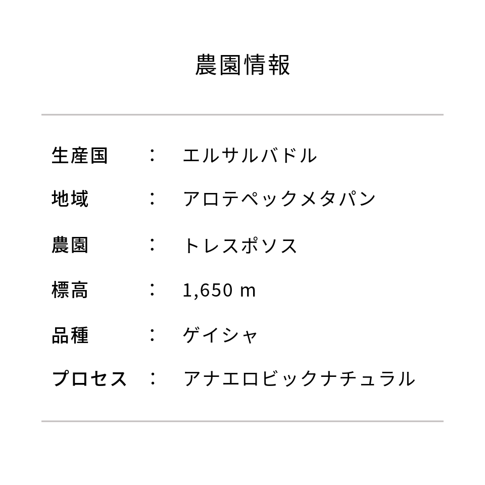 エルサルバドル トレス・ポソス農園 ゲイシャ種 アナエロビックナチュラル
