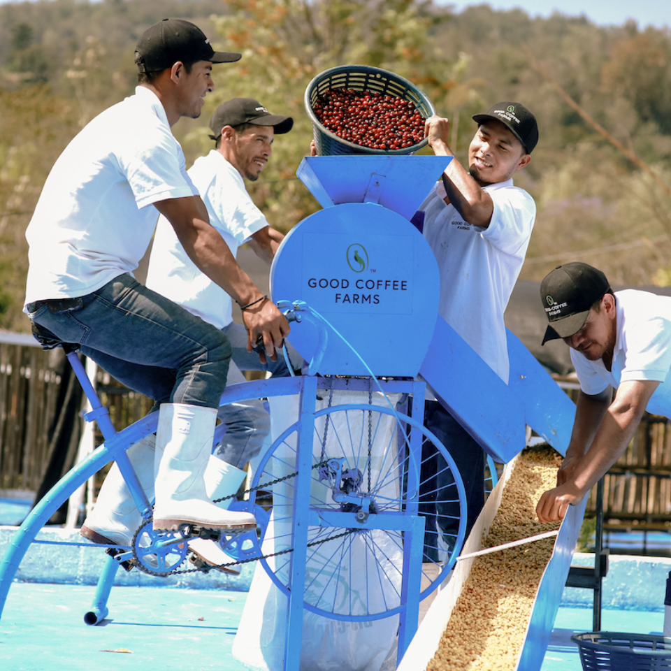 グアテマラ グッドコーヒーファームズ