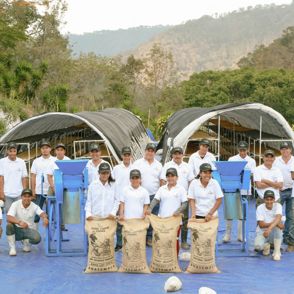 グアテマラ グッドコーヒーファームズ