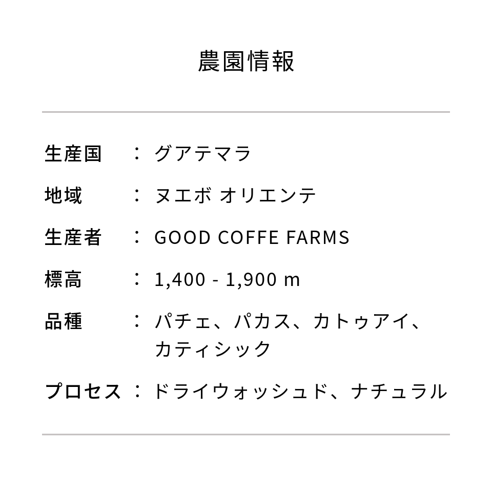 グアテマラ グッドコーヒーファームズ