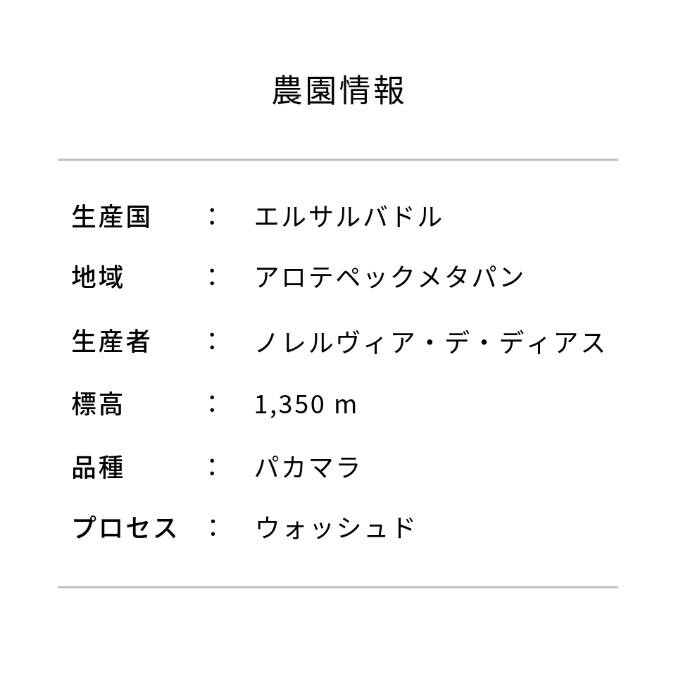 エルサルバドル ミレイディ農園 パカマラ