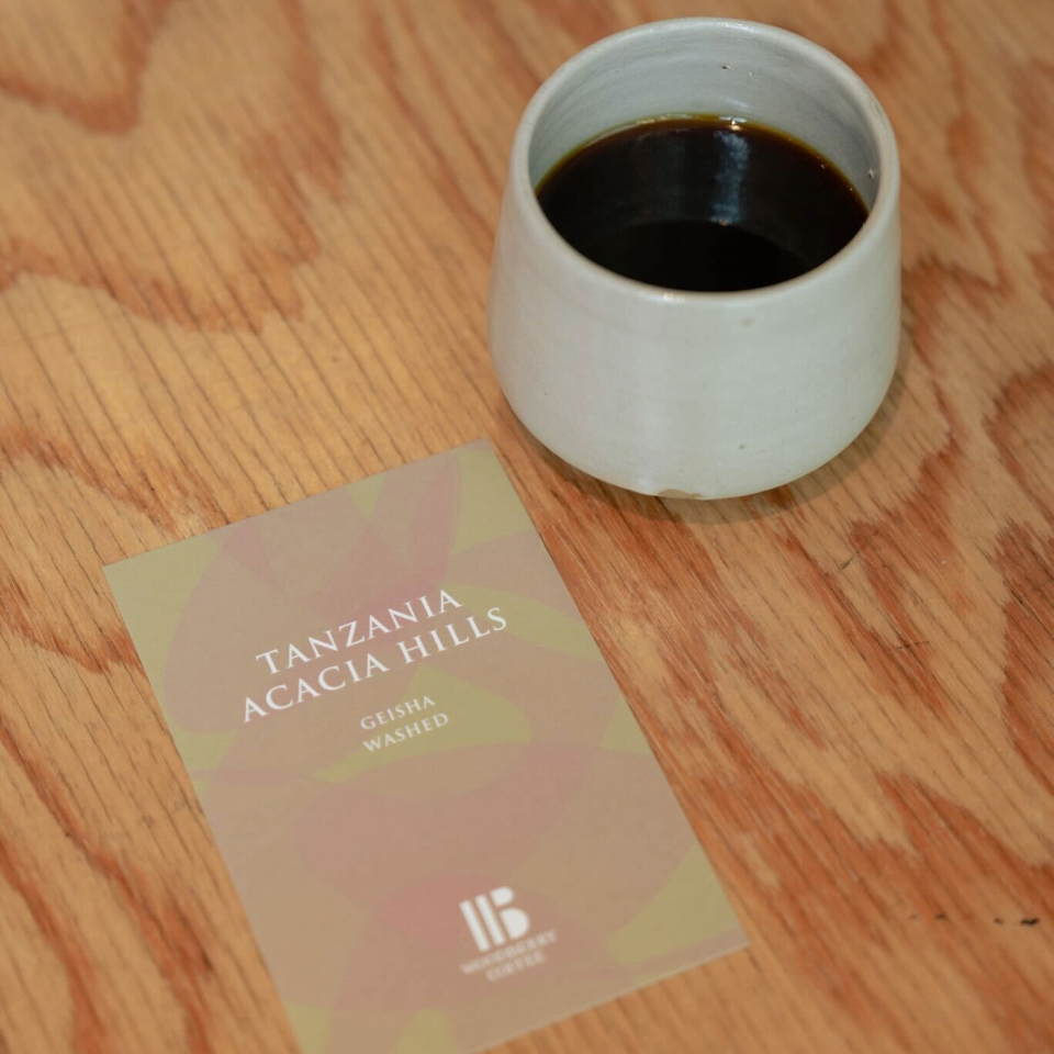 タンザニア アカシアヒルズ ゲイシャ