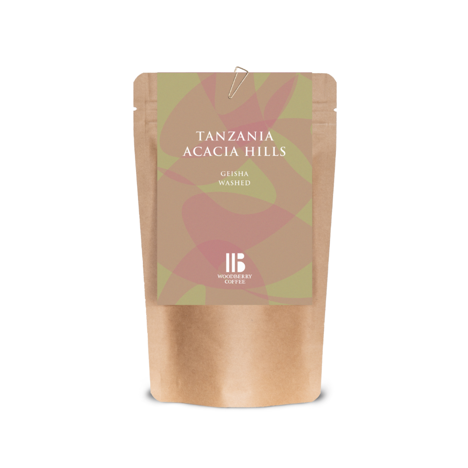 タンザニア アカシアヒルズ ゲイシャ