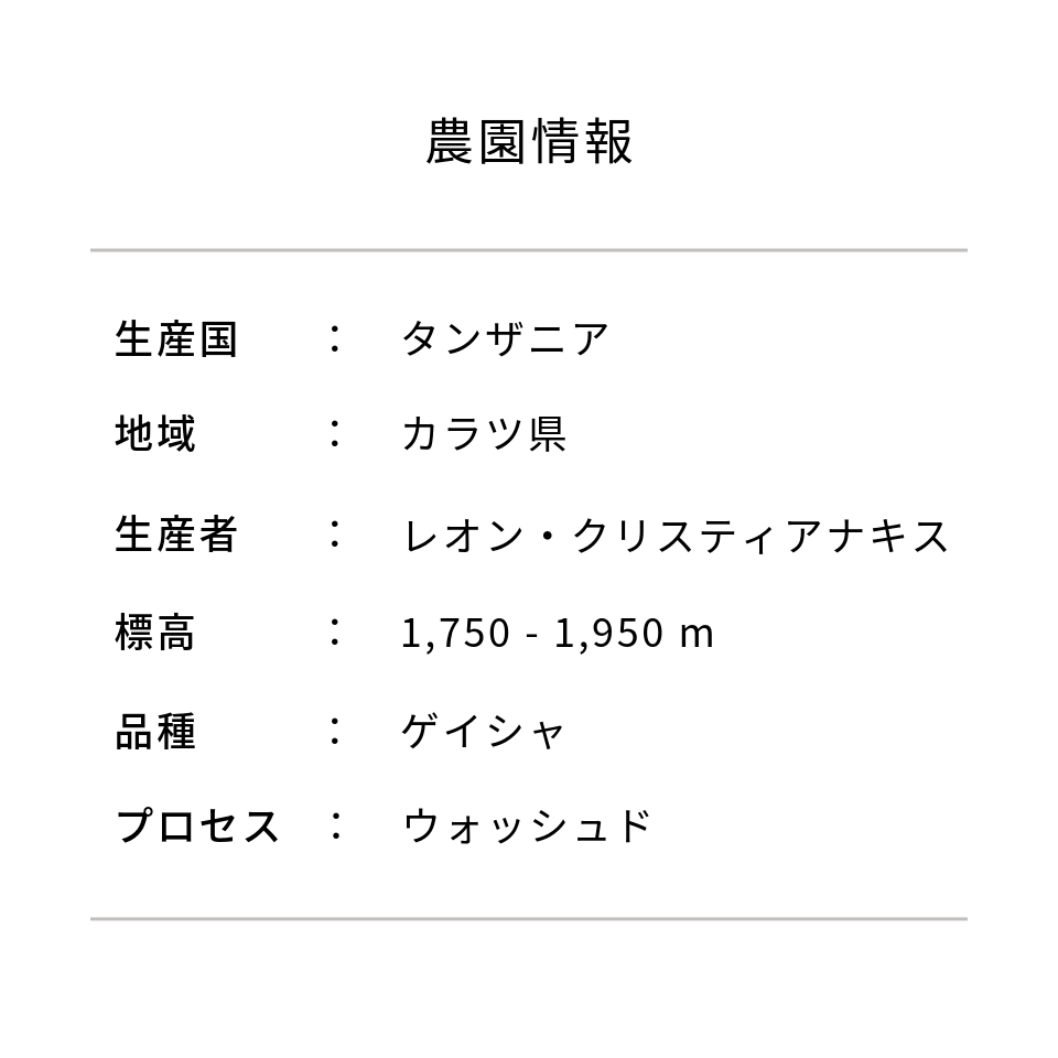 タンザニア アカシアヒルズ ゲイシャ