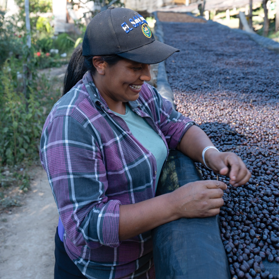 エルサルバドル ミレイディ農園 ゲイシャ