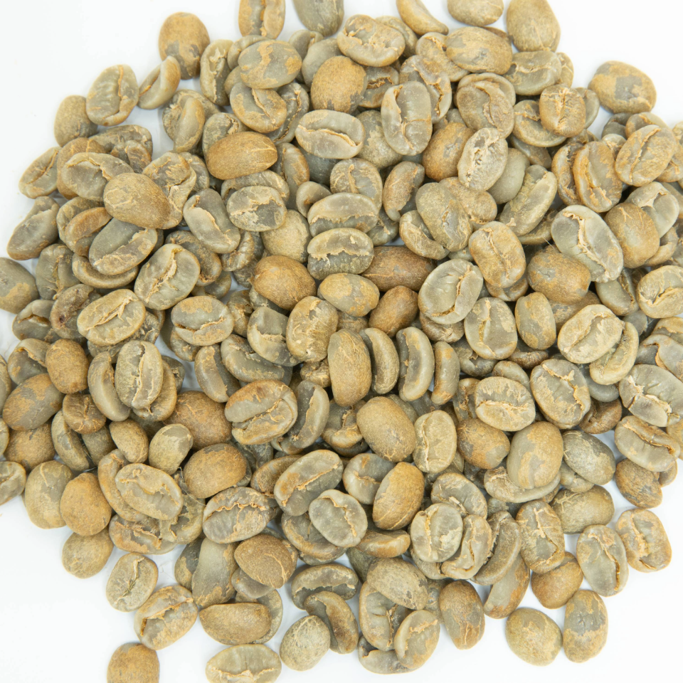 エルサルバドル ミレイディ農園 パカマラ フリーウォッシュド - 生豆