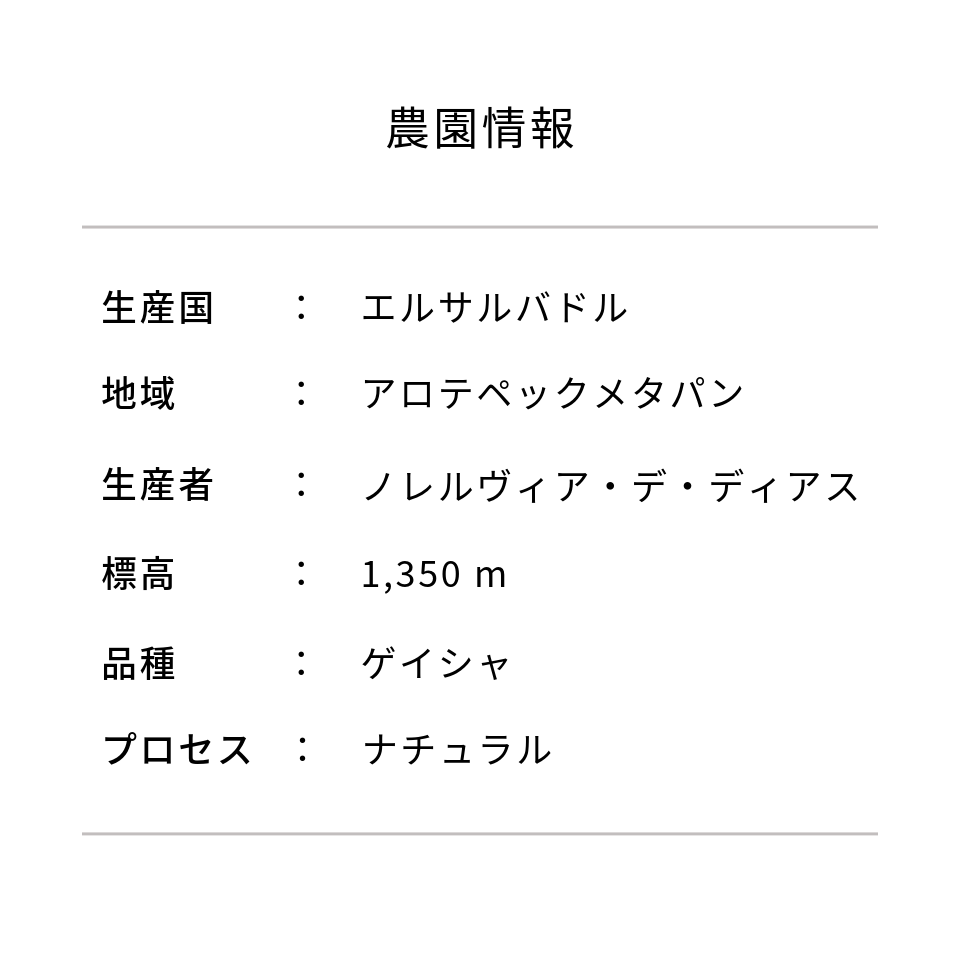 エルサルバドル ミレイディ農園 ゲイシャ