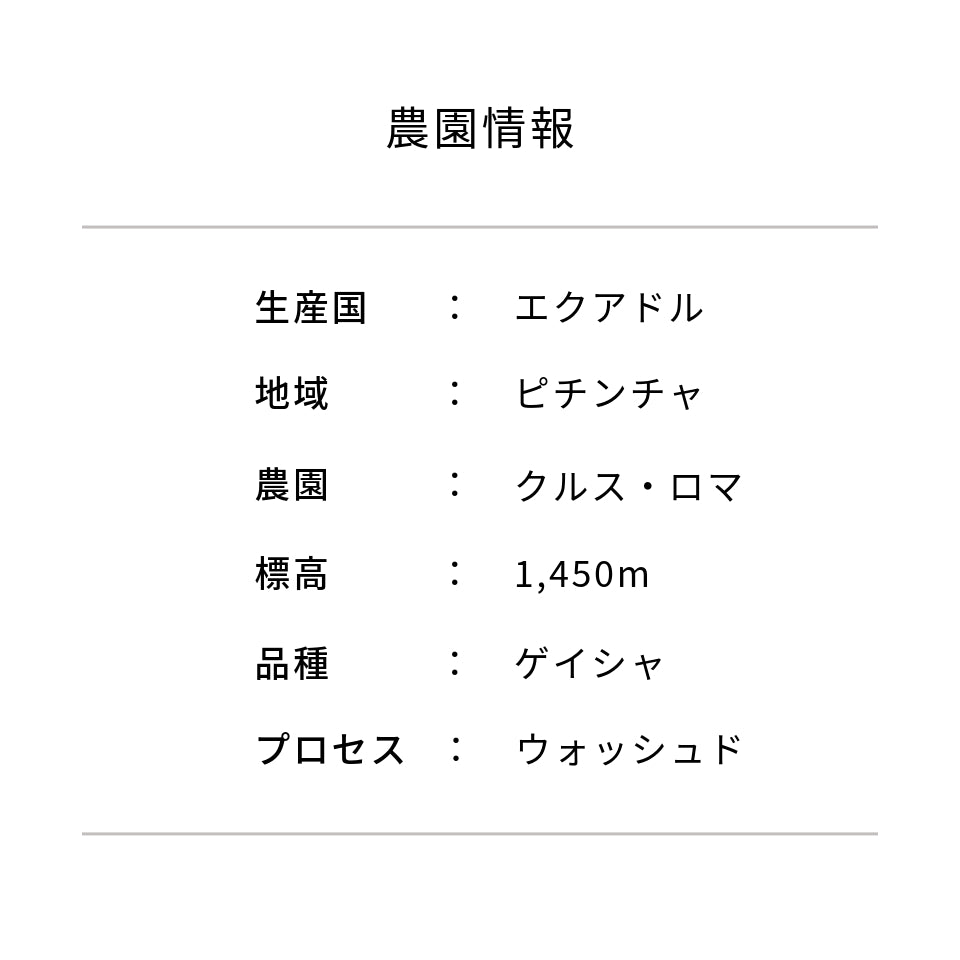 エクアドル クルス・ロマ農園 ゲイシャ