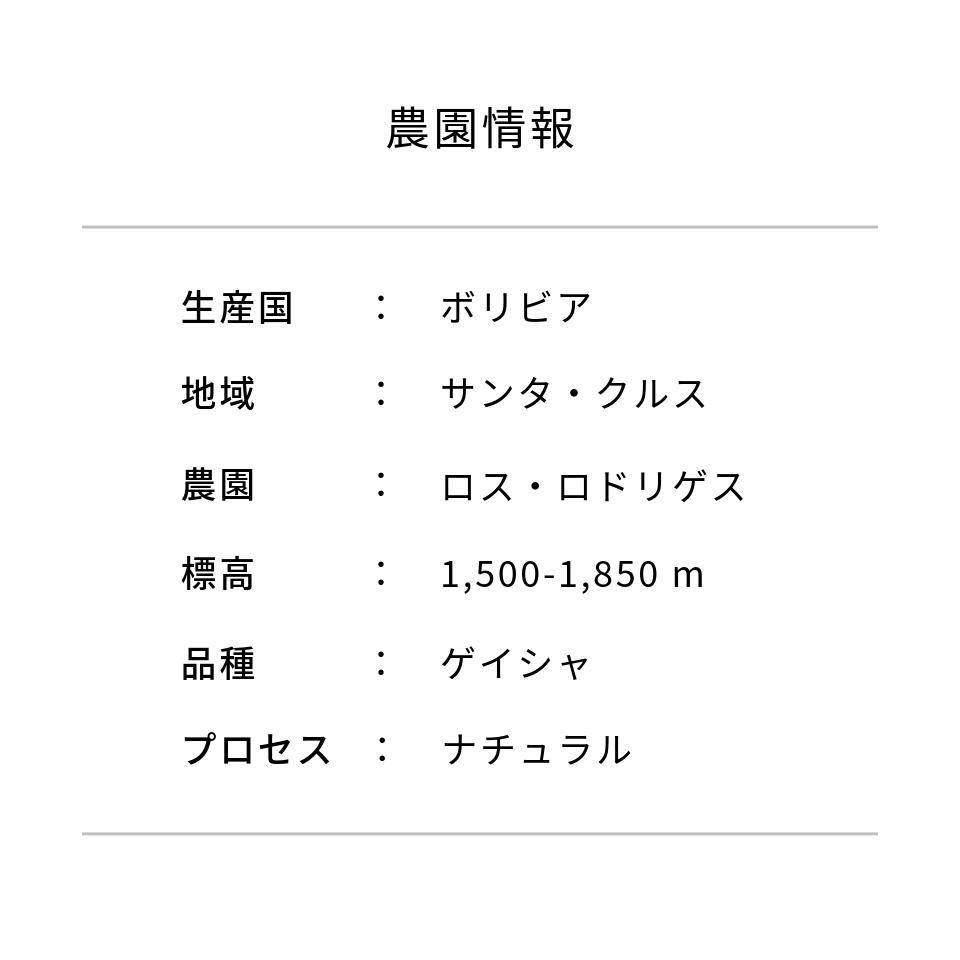 ボリビア ロス・ロドリゲス農園 ゲイシャ