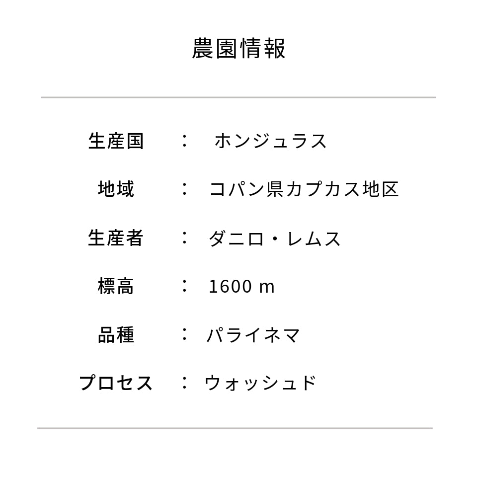 ホンジュラス レムス農園 パライネマ