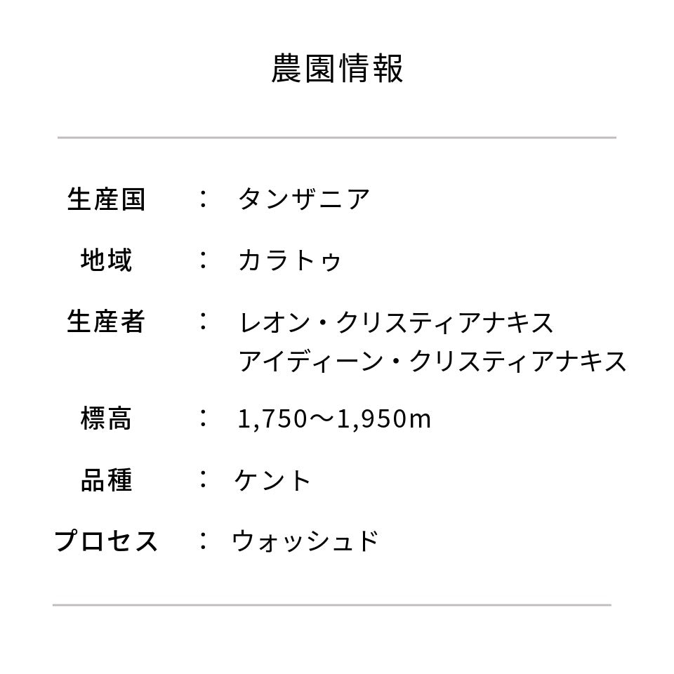 タンザニア アカシアヒルズ農園 ケント ウォッシュド