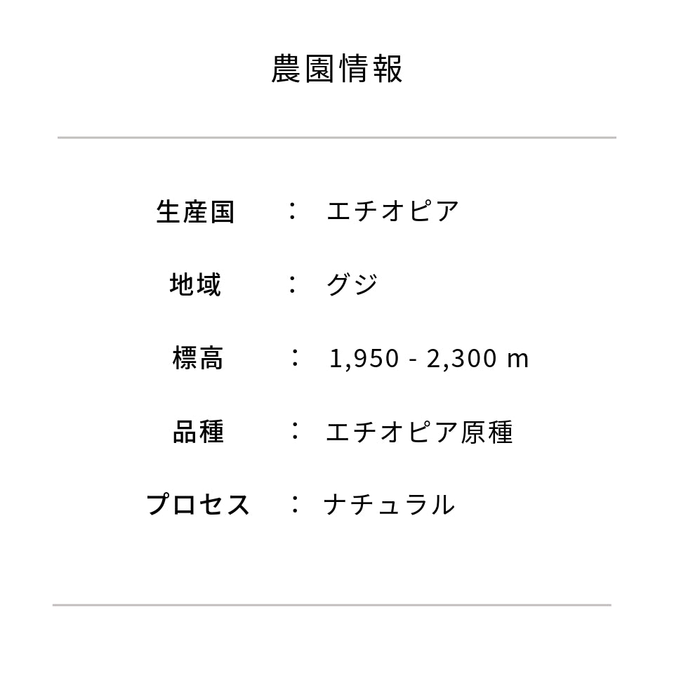 エチオピア ベンティ・ネンカ