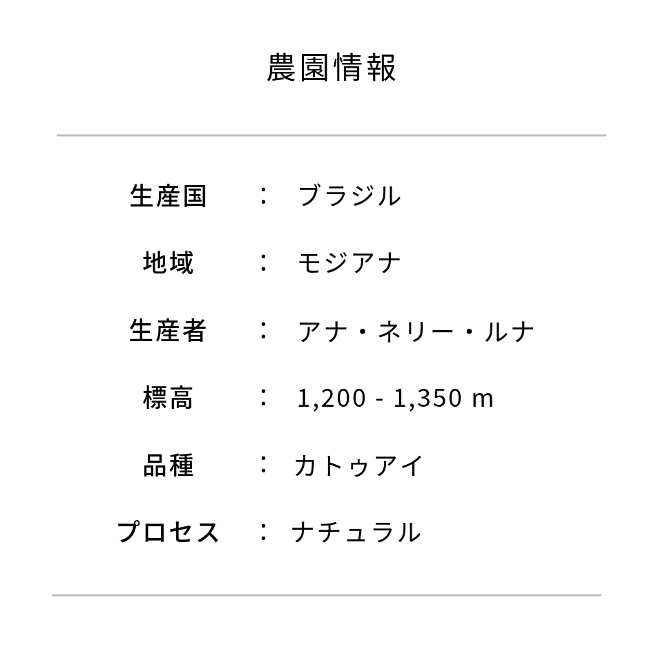 ブラジル ボア ビスタ