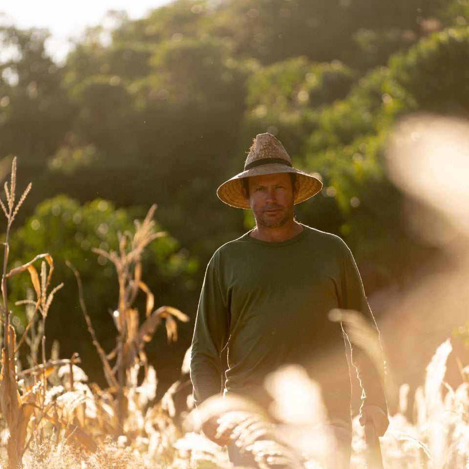 ブラジル ボア ビスタ