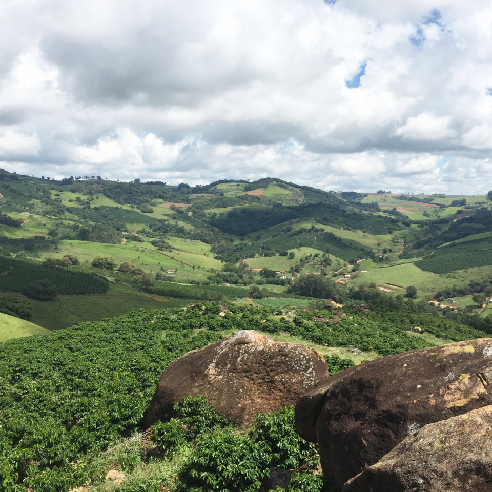 ブラジル ボア ビスタ
