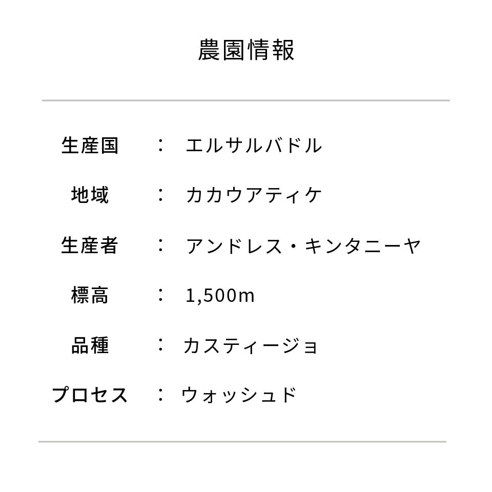 エルサルバドル ブエナ・エスペランサ農園 カスティージョ ウォッシュド