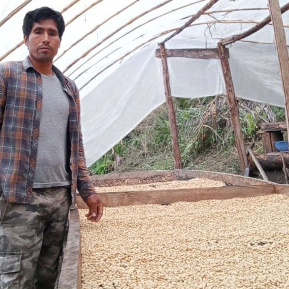 ペルー カンポ・ヴェルデ農園 ウォッシュド