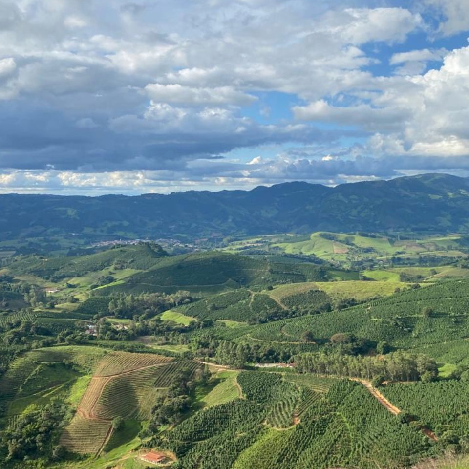 ブラジル カラコル コミュニティー