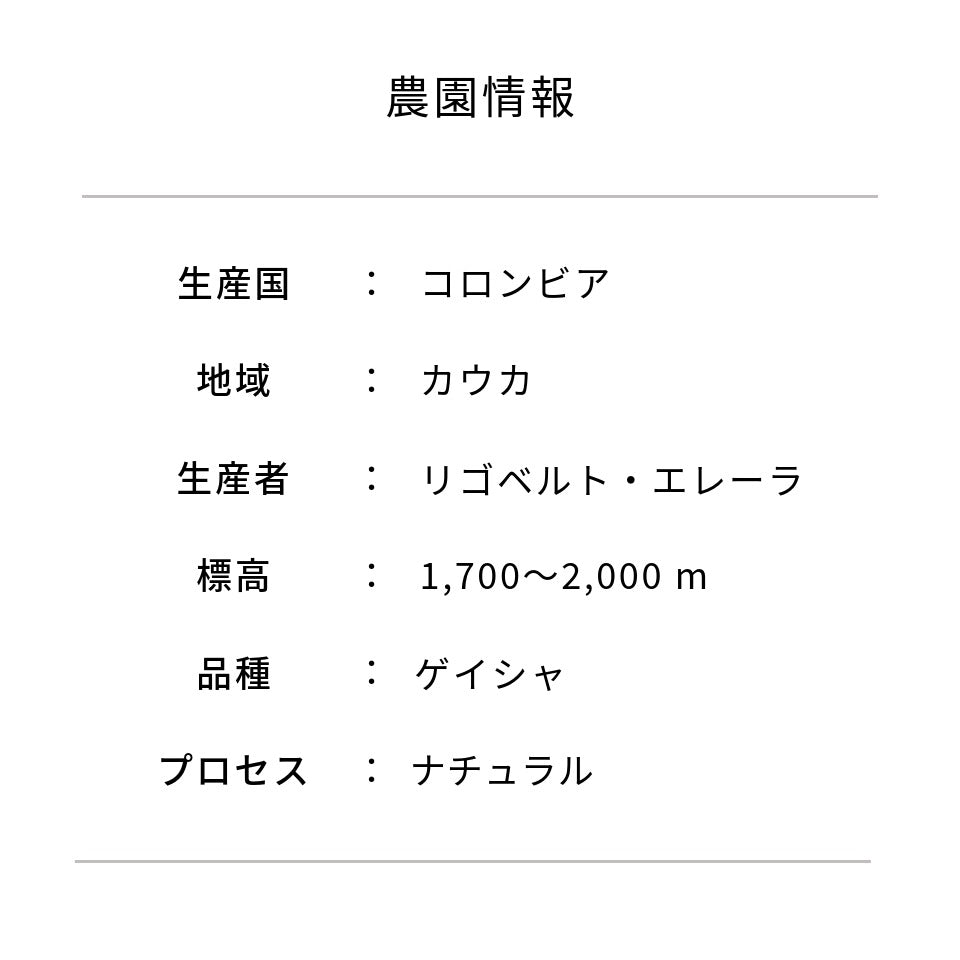 コロンビア セロ・アスール農園 ゲイシャ ナチュラル