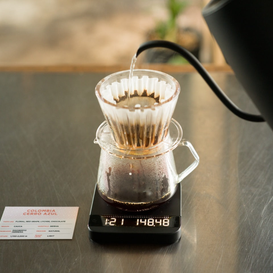 コロンビア セロ・アスール農園 ゲイシャ ナチュラル