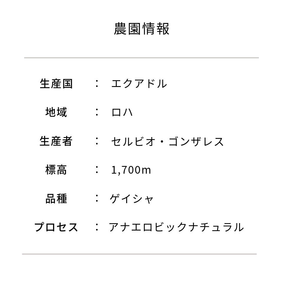 エクアドル クララ・ラス農園 ゲイシャ