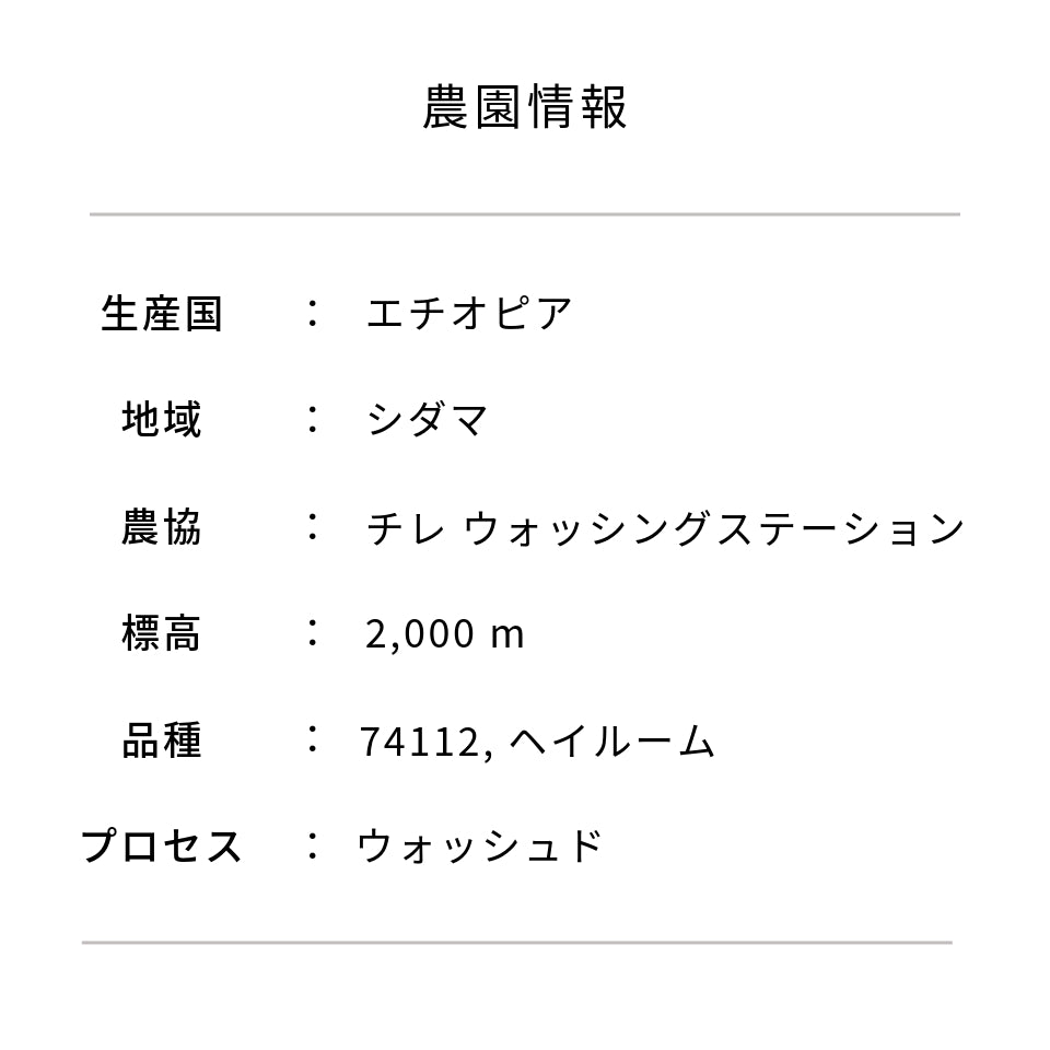 水出しコーヒーパック 「エチオピア チレ ウォッシュド」 45g × 6パック