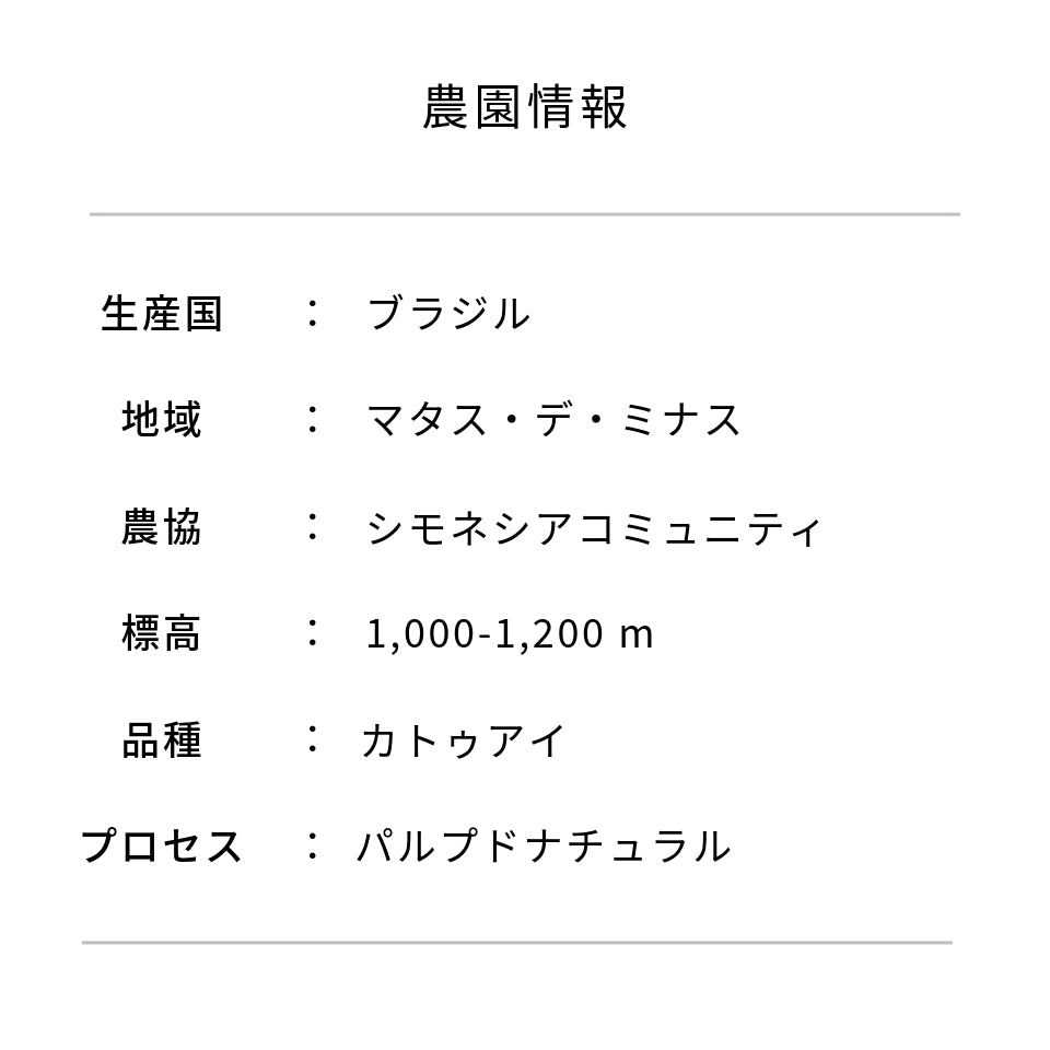 水出しコーヒーパック 「ブラジル シモネシアコミュニティ」45g × 6パック
