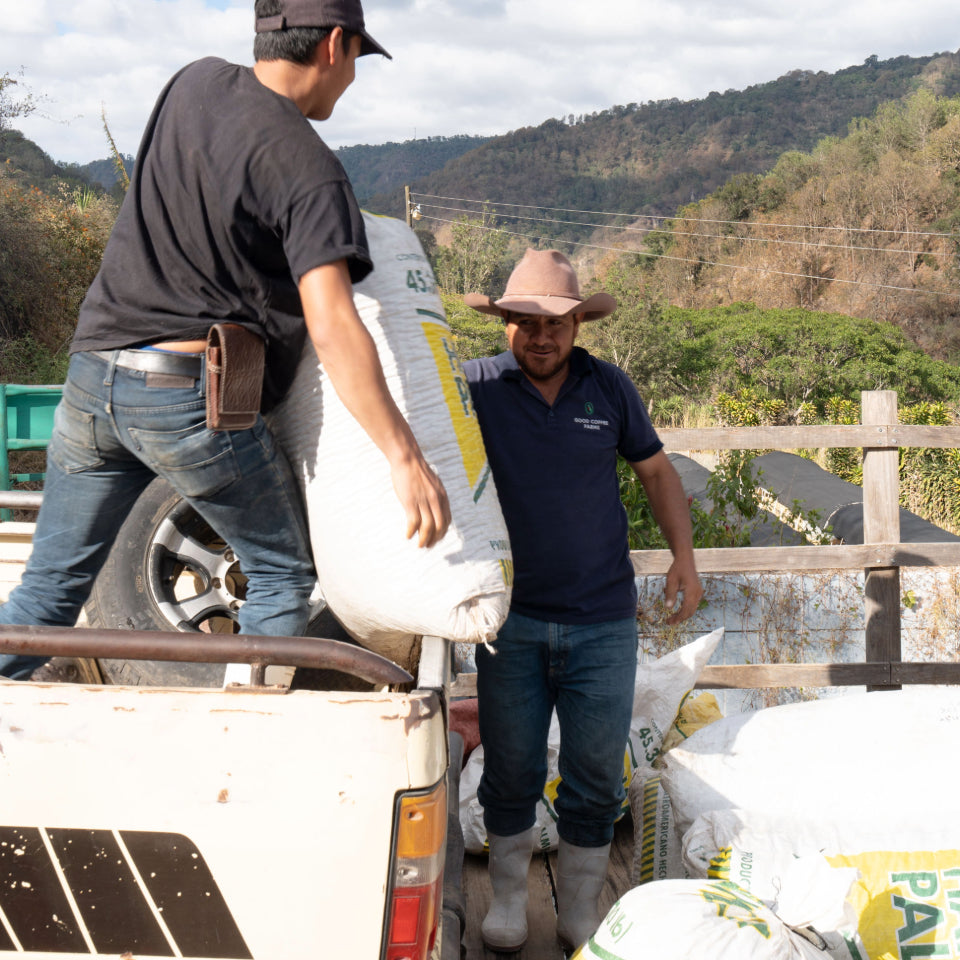 グアテマラ エル・コロリド ラクティック ナチュラル
