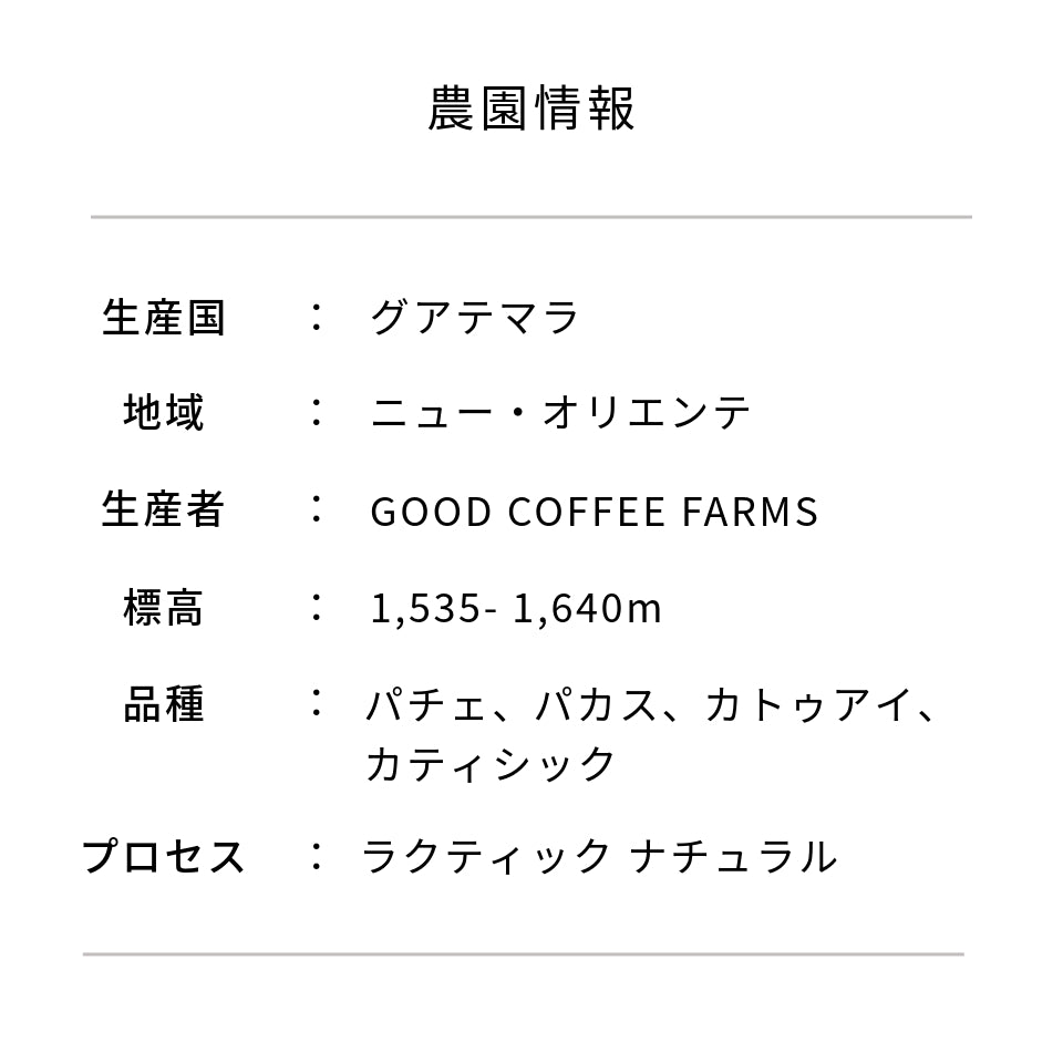 グアテマラ エル・コロリド ラクティック ナチュラル