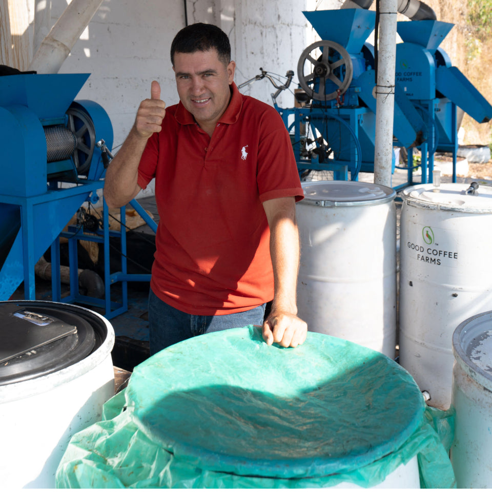 グアテマラ エル・コロリド ラクティック ナチュラル
