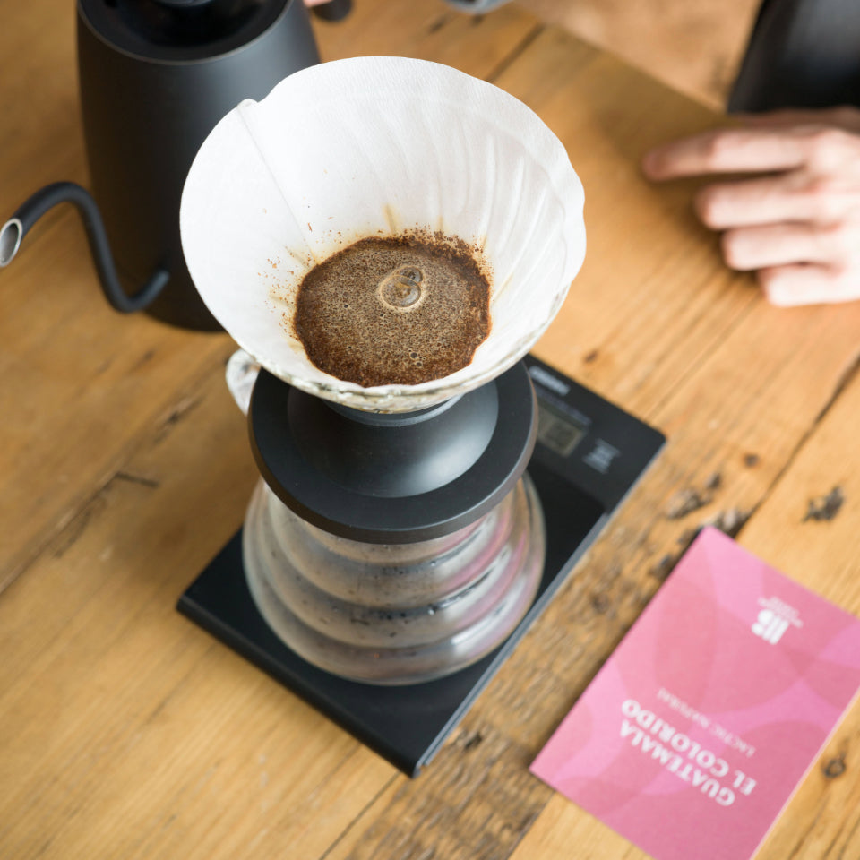 グアテマラ エル・コロリド ラクティック ナチュラル