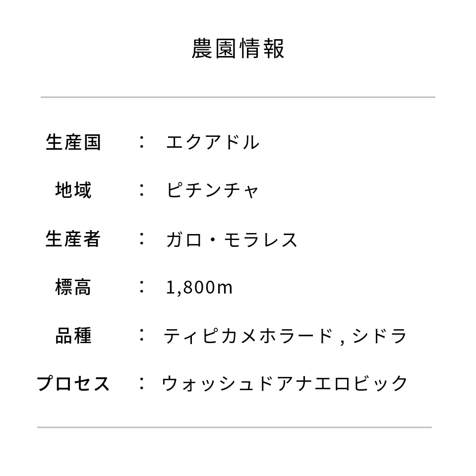 エクアドル クルス・ロマ農園 ティピカメホラード&シドラ