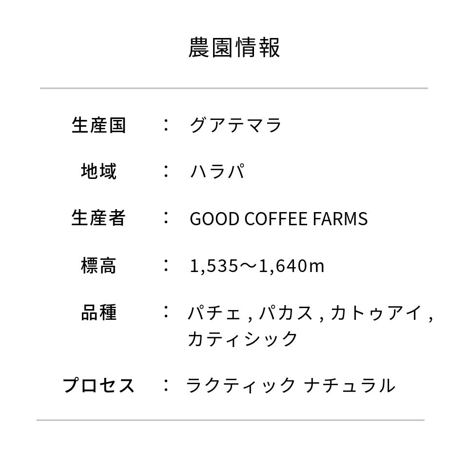 グアテマラ エル・コロリド ラクティック ナチュラル