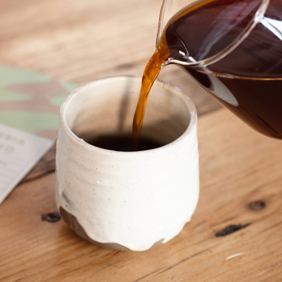 コロンビア エル・ディヴィソ農園 カツーラ