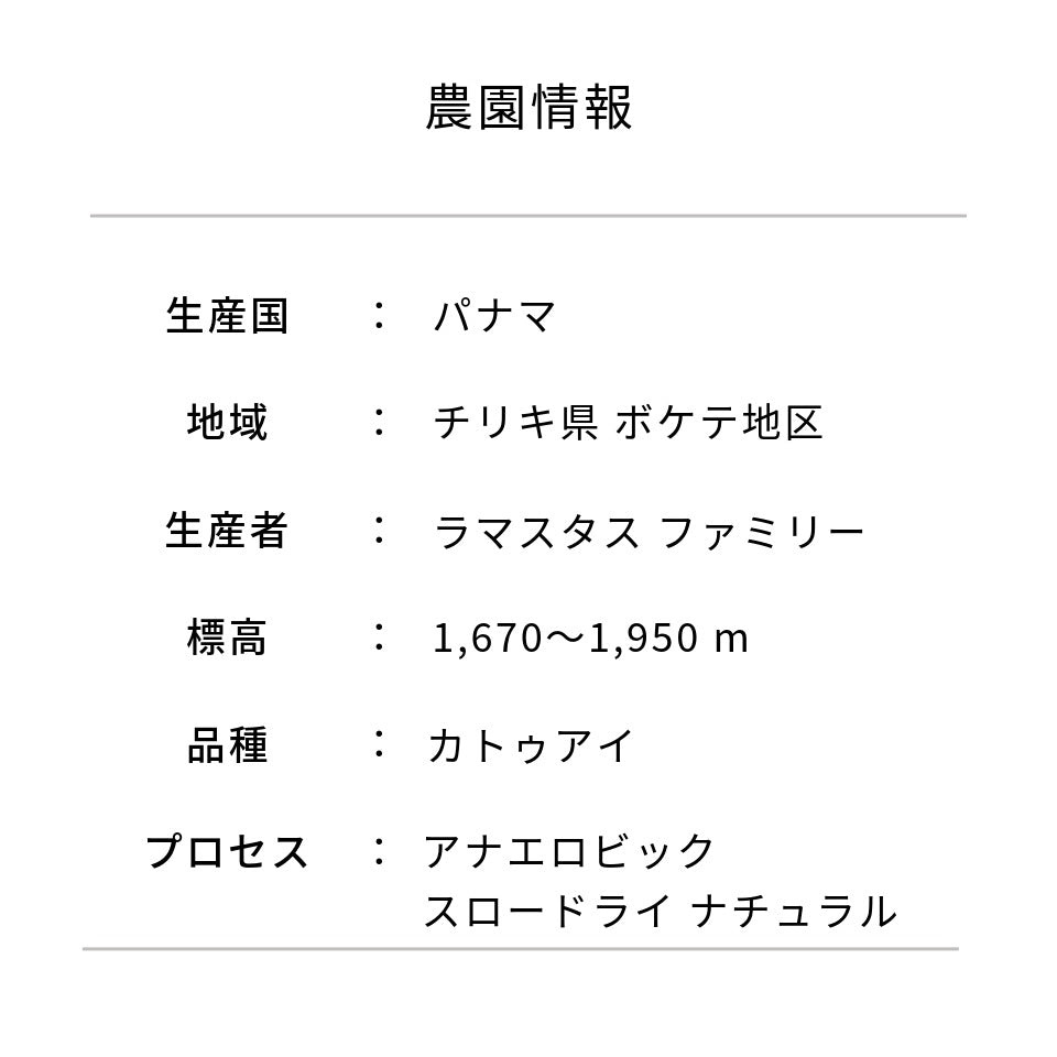 パナマ エリダ農園 カツアイ ASDナチュラル