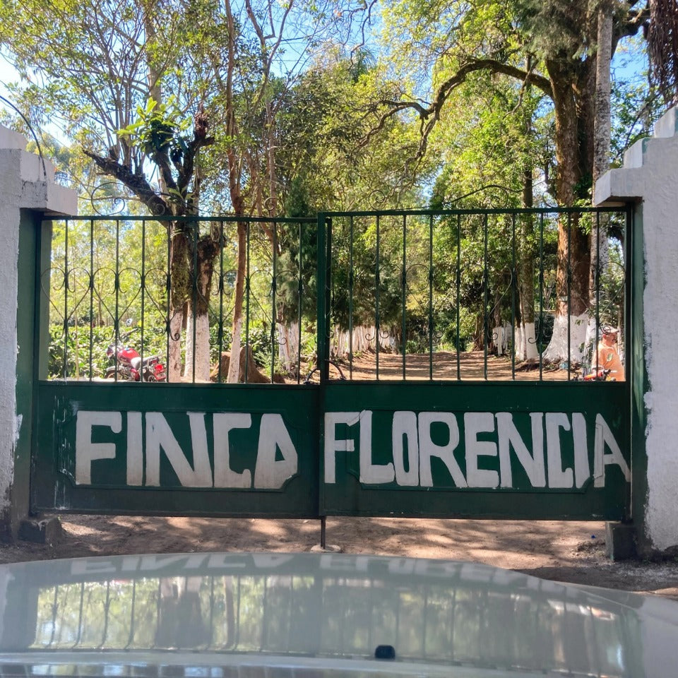 コーヒーバッグ「グアテマラ フロレンシア農園 ブルボン ウォッシュド」