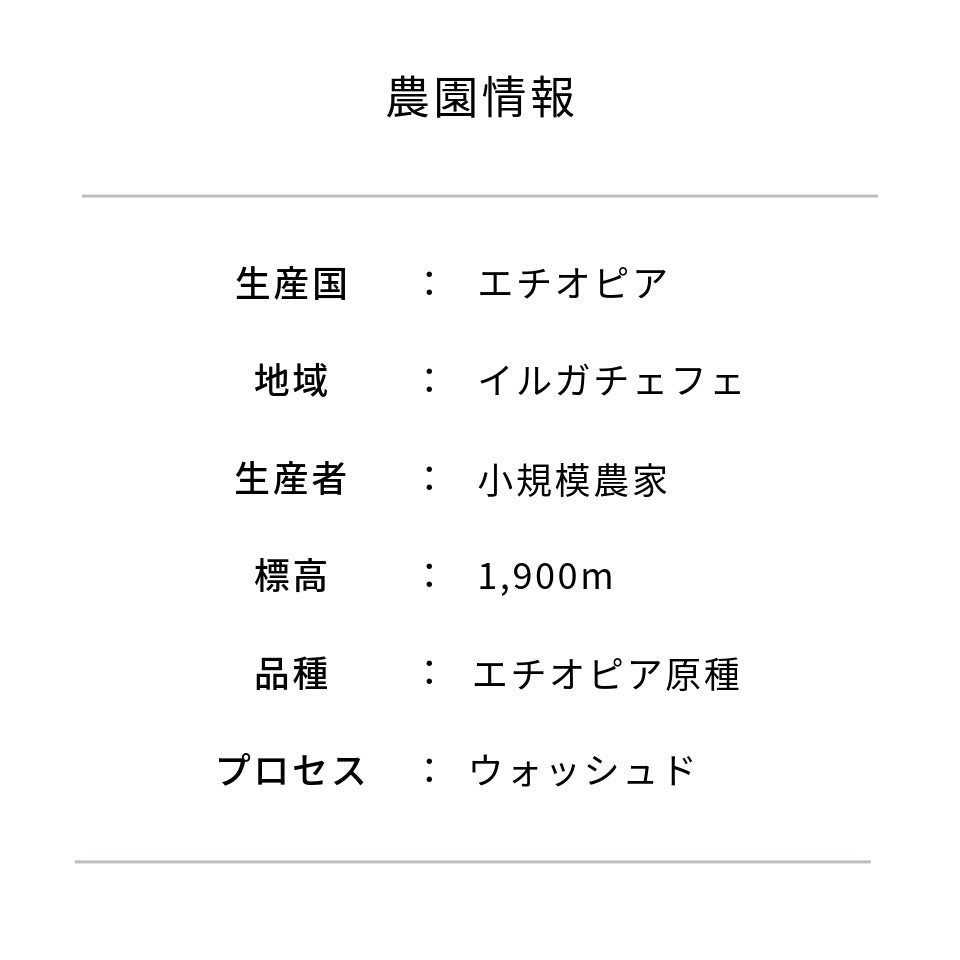 エチオピア ガルガリ・グティティ